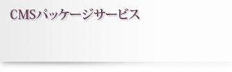CMSサイトパッケージサービス
