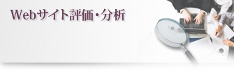 webサイト評価・分析